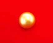 Natural Persian Gulf Pearl Natural Persian Gulf Pearl