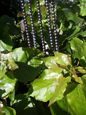 Black pearls by popular leaves