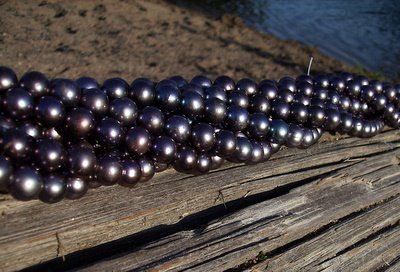 Black pearls on wood