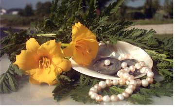 Click to see more pearl button jewelry pearl button jewelry and pearls