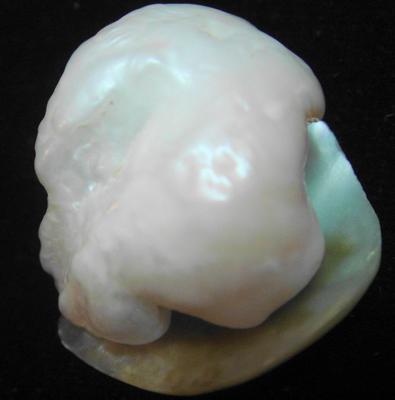 Blister Pearl Blister pearl