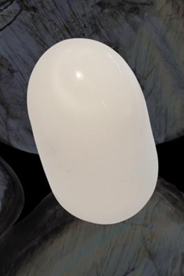 144 carat clam pearl 144 ct clam pearl