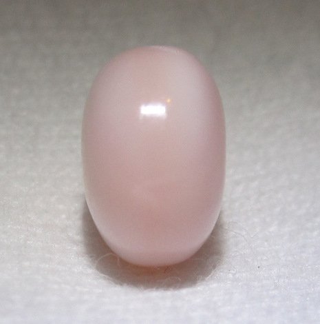 Conch pearl 3 carats