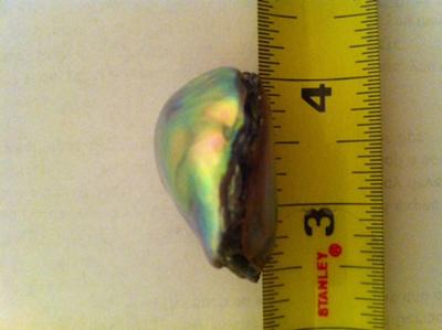 Natural California Abalone Pearl