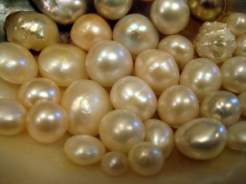 Freshwater Natural Freshwater Pearls