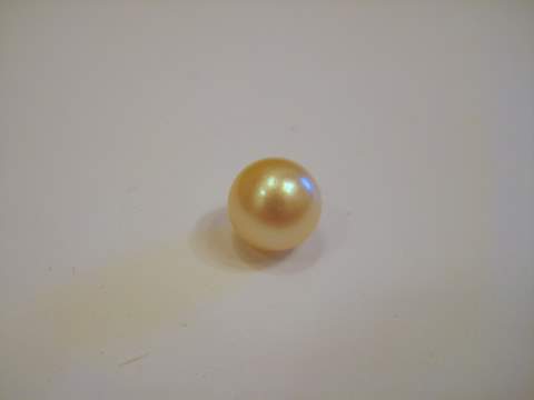 Gulf Pearl Gulf Pearl