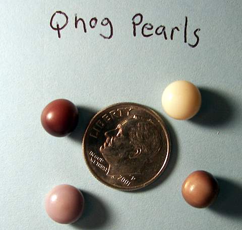 John's Four Quahog Pearls