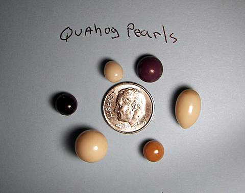 John's quahog pearls with dime