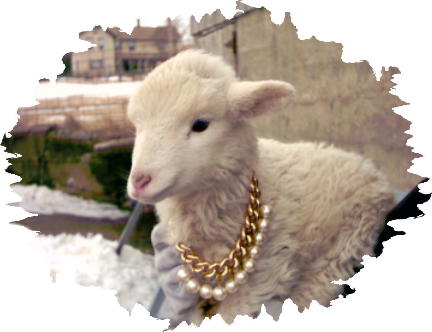 Lamb pearls and gold chain
