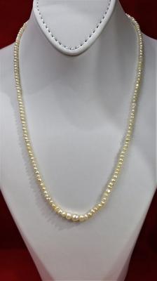 Natural Persian Gulf Pearl