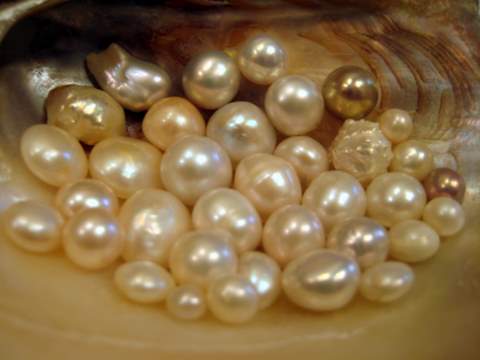 Natural Freshwater Pearls