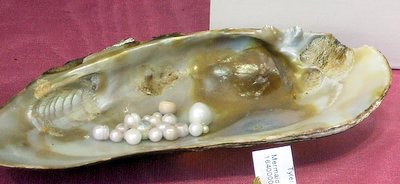 Natural Pearls Cairncross