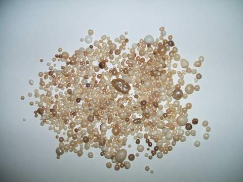 Natural Pearls Collection Natural Pearls Collection