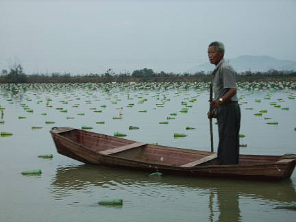 Pearl Farm Boat