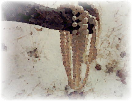 Pearls Dropping Pearls Dropping