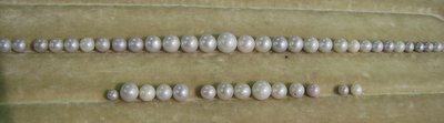 Perth Natural Pearl Necklace