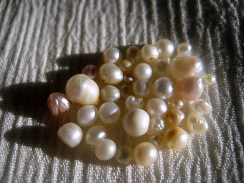 Round Natural Pearls Round Natural Pearls