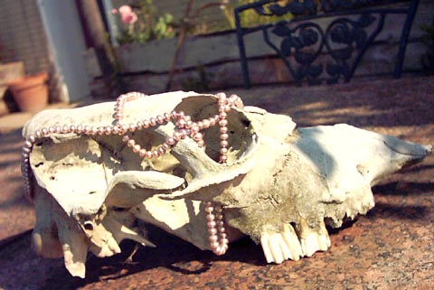 Skull Pearls Skull Pearls