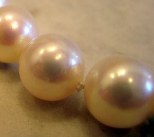 White Freshwater Pearls Closeup