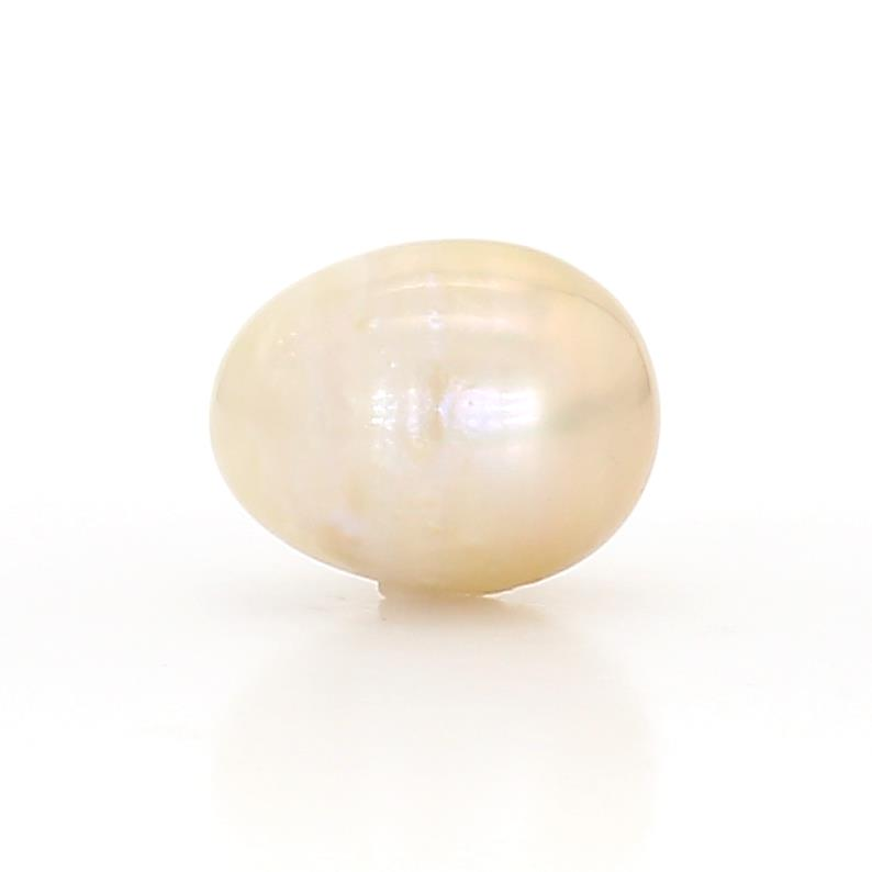 Saltwater natural Pearl